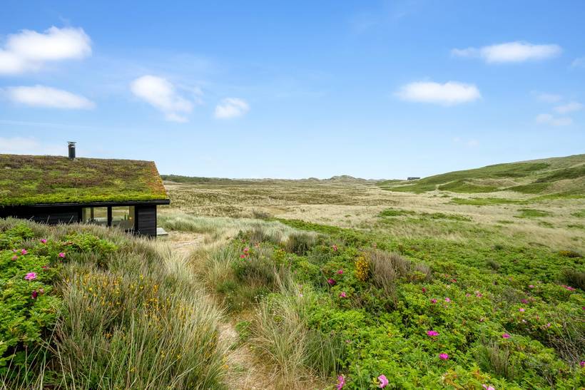 Foto von Ferienhaus MW51 in Haurvig - Årgab - Westjütland