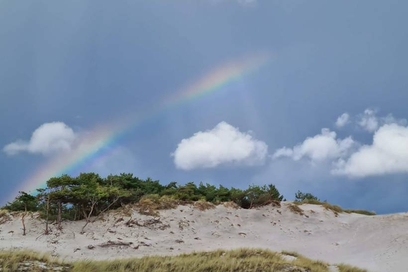Foto von Ferienhaus MX09 in Dueodde - Bornholm