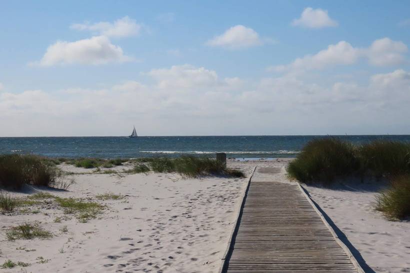 Foto von Ferienhaus MX09 in Dueodde - Bornholm