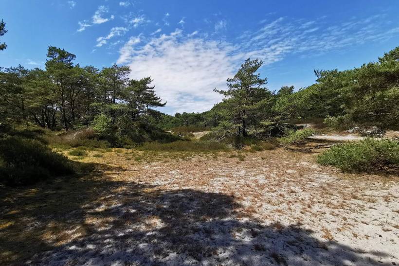 Foto von Ferienhaus MX09 in Dueodde - Bornholm