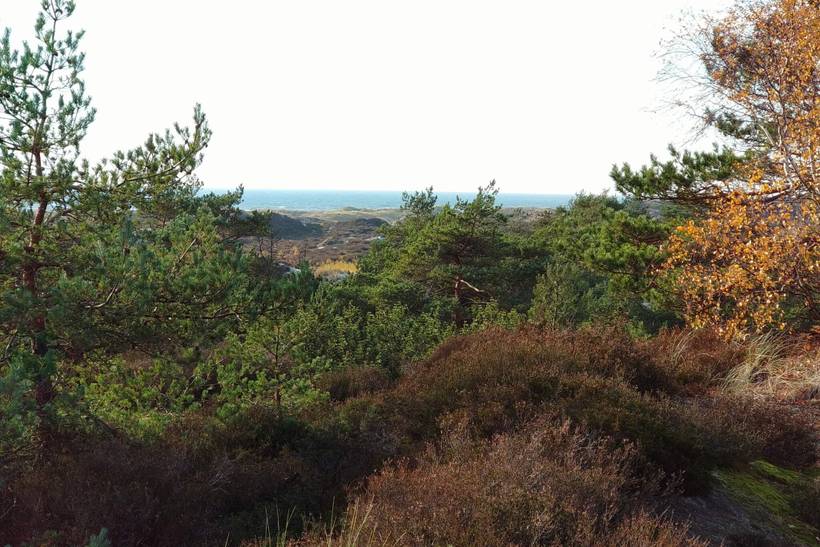 Foto von Ferienhaus MX09 in Dueodde - Bornholm