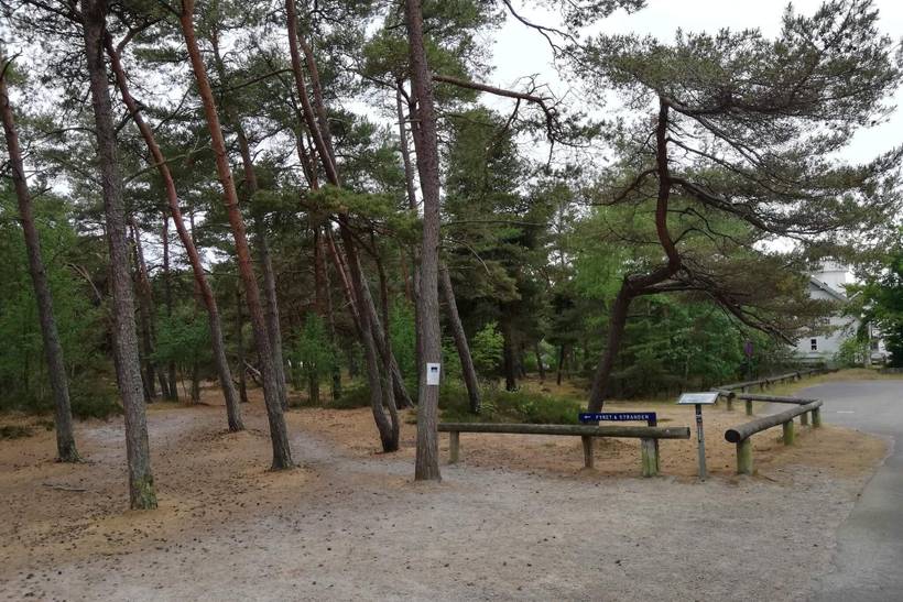 Foto von Ferienhaus MX09 in Dueodde - Bornholm