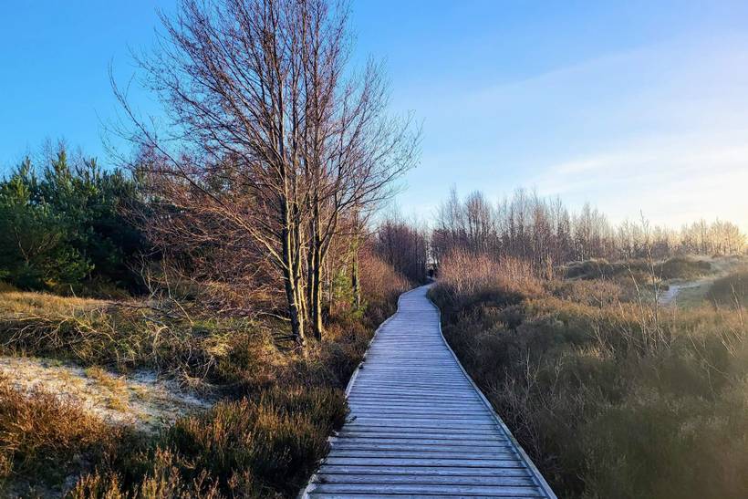 Foto von Ferienhaus MX09 in Dueodde - Bornholm