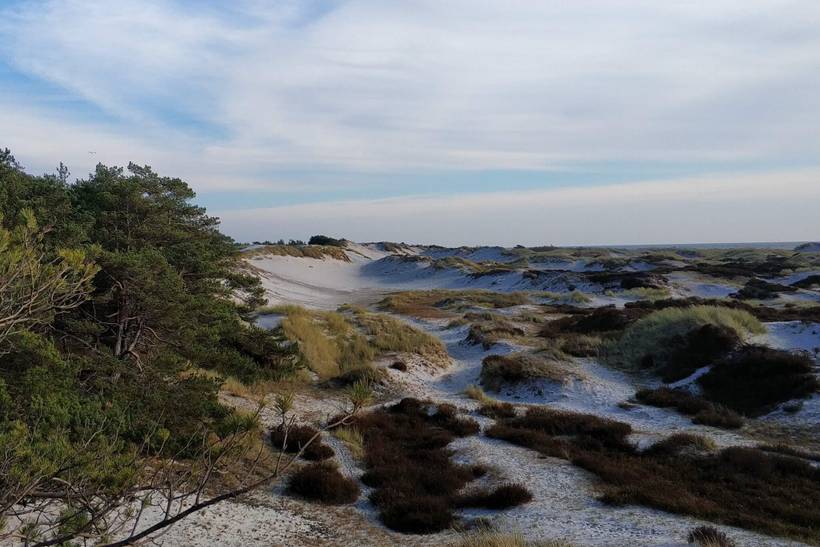 Foto von Ferienhaus MX09 in Dueodde - Bornholm