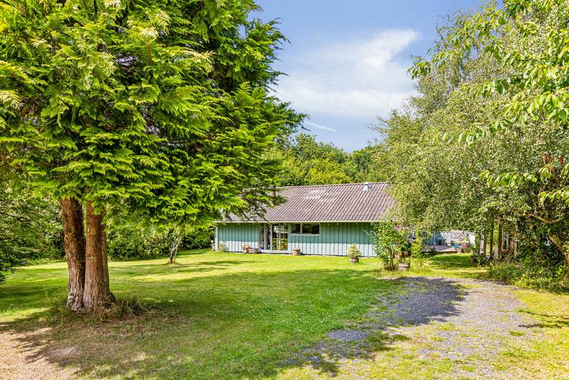 Foto von Ferienhaus MX68 in Udsholt - Rågeleje - Nordseeland