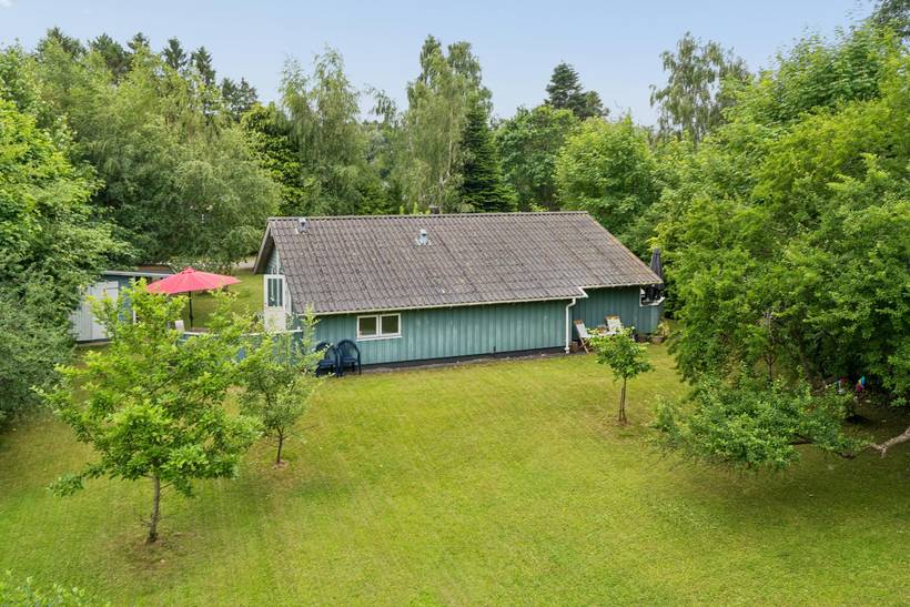 Foto von Ferienhaus MX68 in Udsholt - Rågeleje - Nordseeland