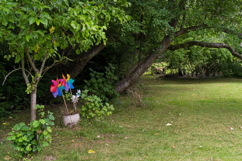 Foto von Ferienhaus MX68 in Udsholt - Rågeleje - Nordseeland