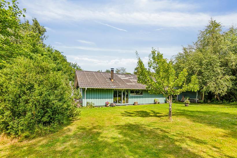 Foto von Ferienhaus MX68 in Udsholt - Rågeleje - Nordseeland