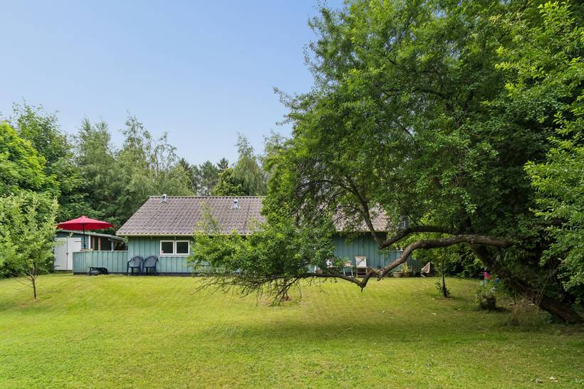 Foto von Ferienhaus MX68 in Udsholt - Rågeleje - Nordseeland