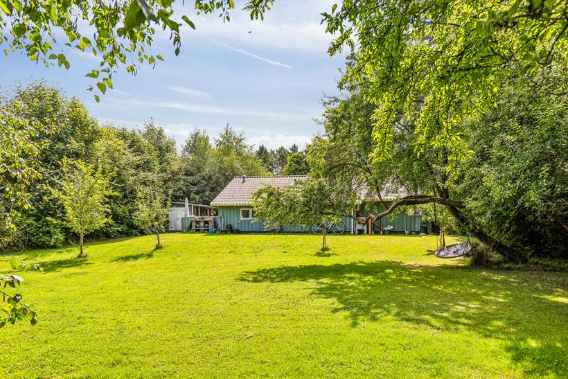 Foto von Ferienhaus MX68 in Udsholt - Rågeleje - Nordseeland