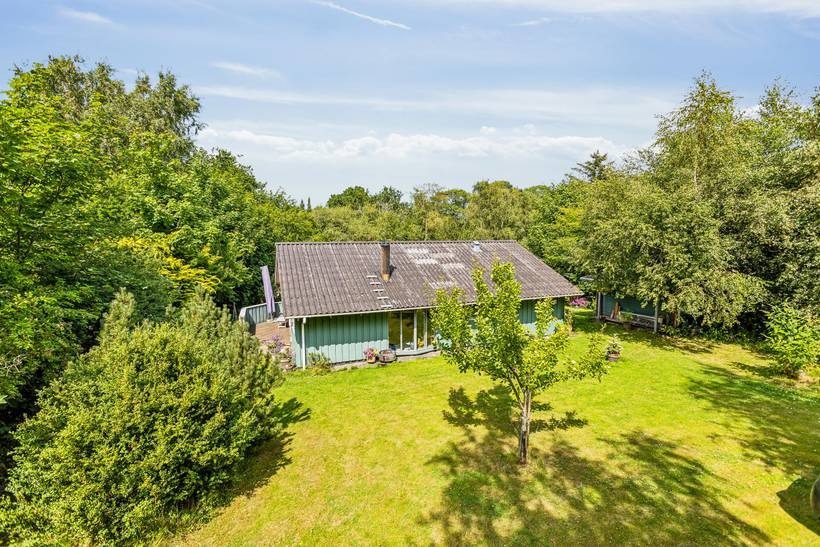 Foto von Ferienhaus MX68 in Udsholt - Rågeleje - Nordseeland