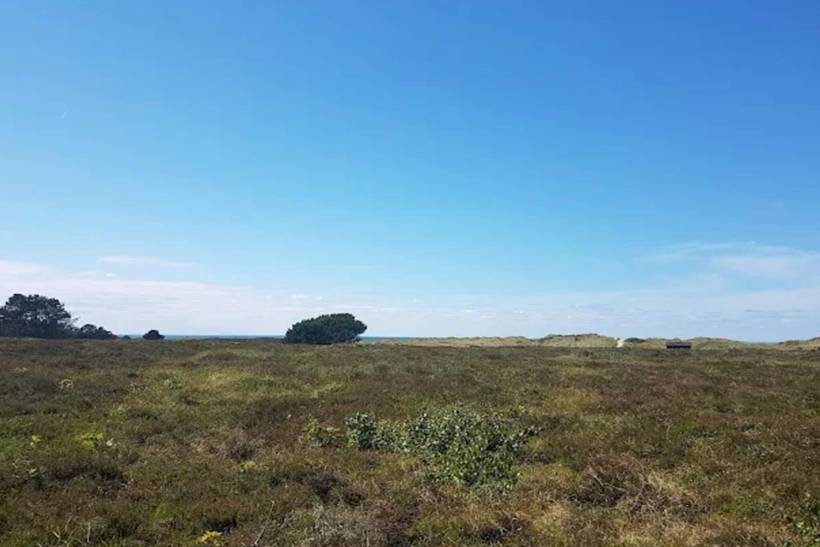 Foto von Ferienhaus MY35 in Vesterø - Læsø