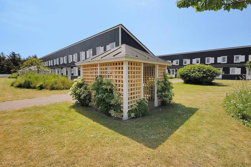 Foto von Ferienhaus MZ03 in Agger - Thy/Limfjord