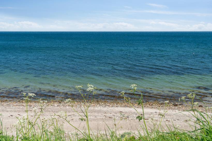 Foto von Ferienhaus MZ29 auf Frølunde - Westseeland