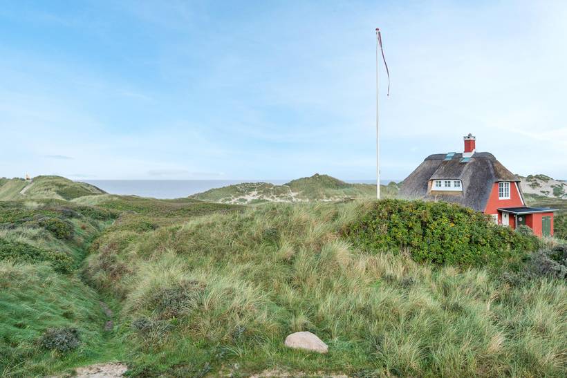 Foto von Ferienhaus MZ49 in Blokhus - Nordjütland