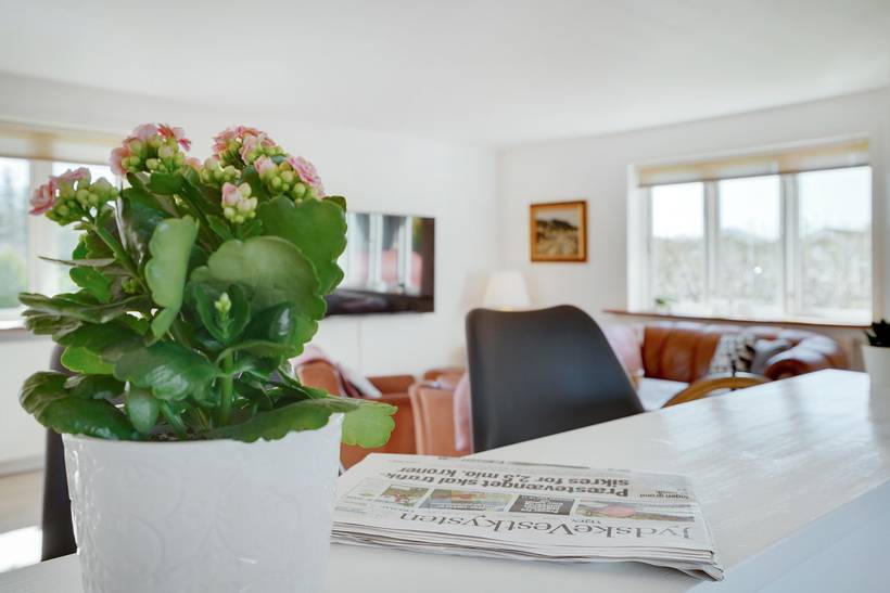 Foto von Ferienhaus MZ80 in Slettestrand - Nordjütland