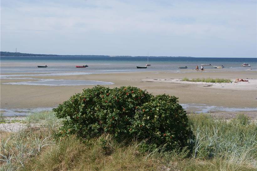 Foto von Ferienhaus NA42 in Sejerø Bugt - Westseeland