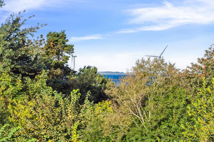 Foto von Ferienhaus NA44 in Øer - Ebeltoft - Ostjütland