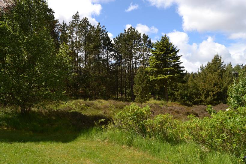 Foto von Ferienhaus NA86 in Kongsmark - Rømø