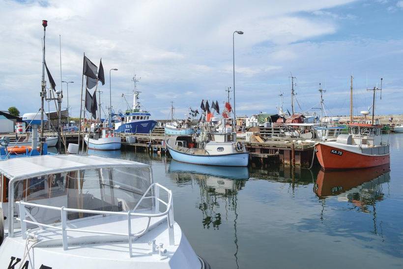 Foto von Ferienhaus NB26 in Sejerø Bugt - Westseeland