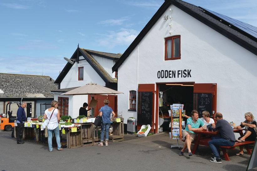 Foto von Ferienhaus NB26 in Sejerø Bugt - Westseeland