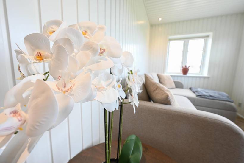 Foto von Ferienhaus NB49 in Vester Husby - Westjütland