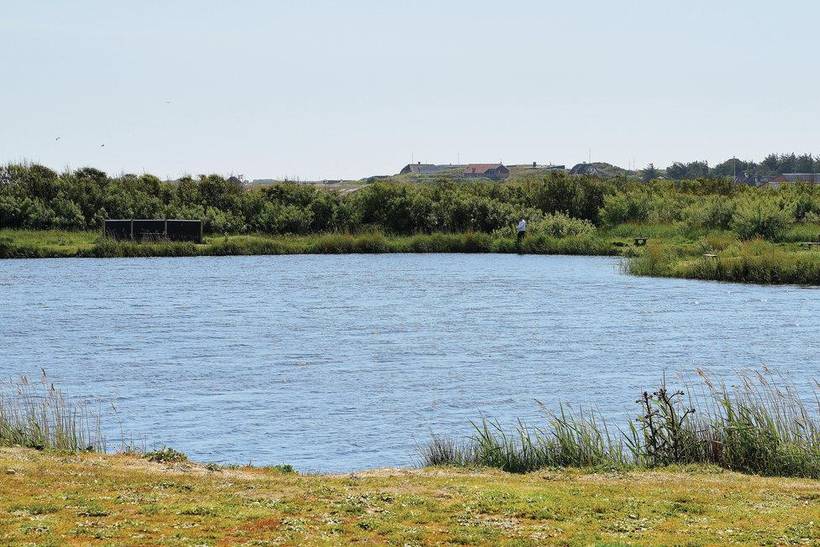 Foto von Ferienhaus NC23 in Lodbjerg Hede - Søndervig - Westjütland
