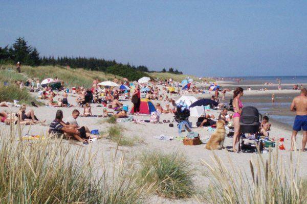 Foto von Ferienhaus NC30 in Hou - Nordjütland Ost