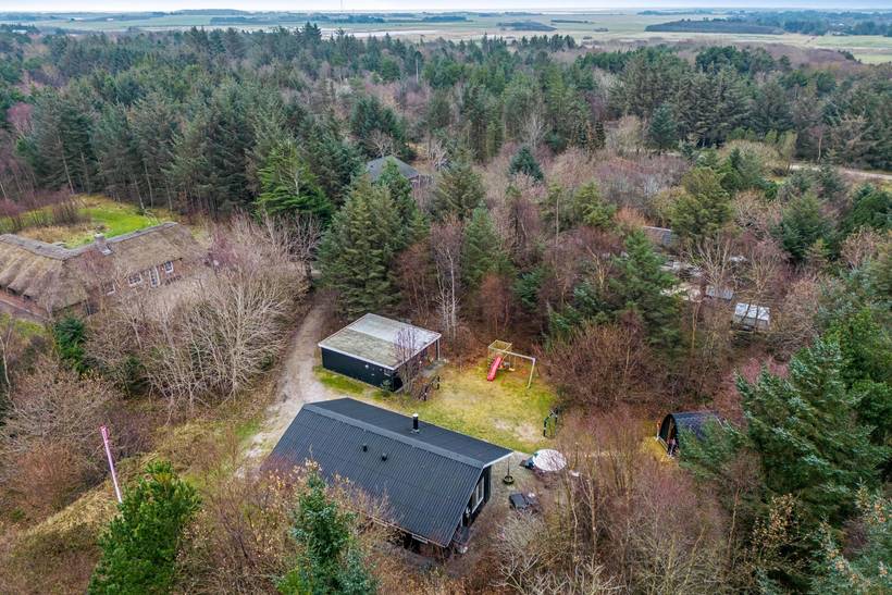 Foto von Ferienhaus NC43 in Lodbjerg Hede - Søndervig - Westjütland