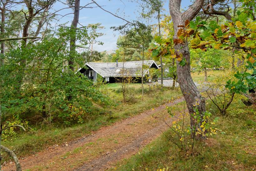 Foto von Ferienhaus NC66 in Dueodde - Bornholm