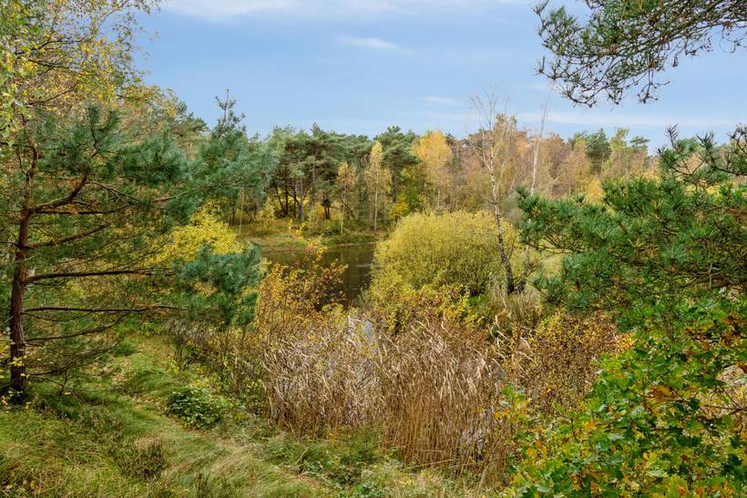 Foto von Ferienhaus NC66 in Dueodde - Bornholm