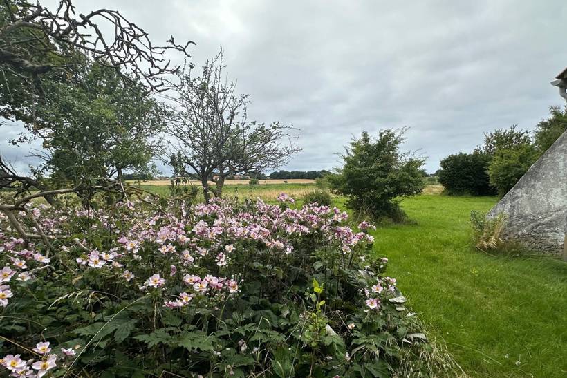 Foto von Ferienhaus ND06 in Sejerø Bugt - Westseeland