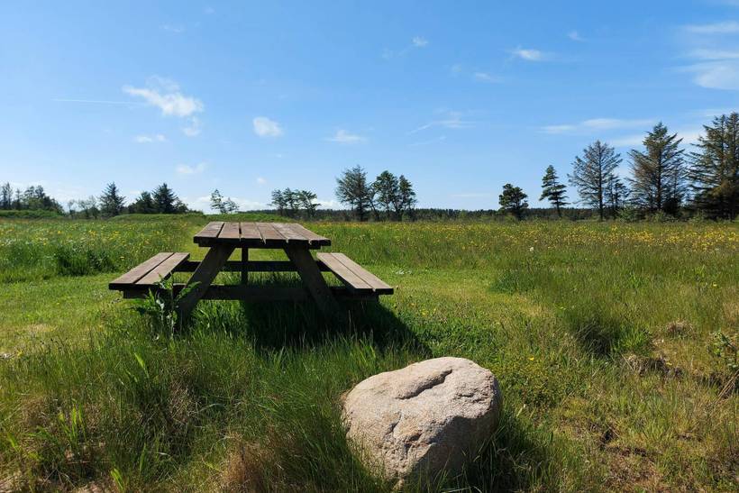 Foto von Ferienhaus ND22 in Rødhus - Blokhus - Nordjütland
