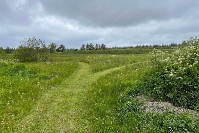 Foto von Ferienhaus ND22 in Rødhus - Blokhus - Nordjütland