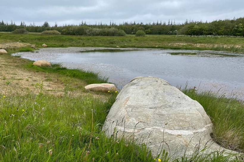 Foto von Ferienhaus ND22 in Rødhus - Blokhus - Nordjütland
