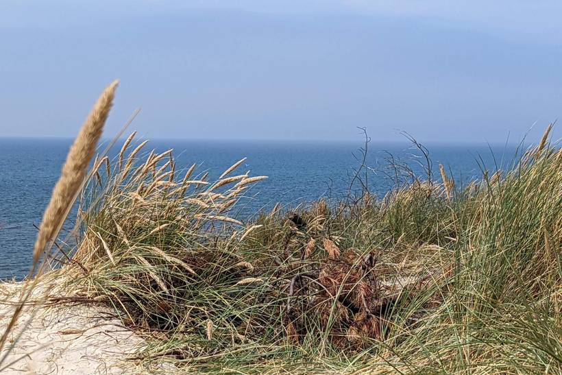 Foto von Ferienhaus ND74 in Nr. Lyngvig - Hvide Sande - Westjütland