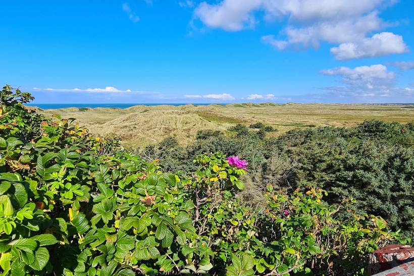 Foto von Ferienhaus ND74 in Nr. Lyngvig - Hvide Sande - Westjütland