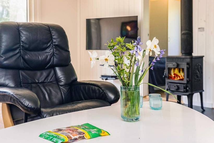 Foto von Ferienhaus NE20 in Marielyst - Falster