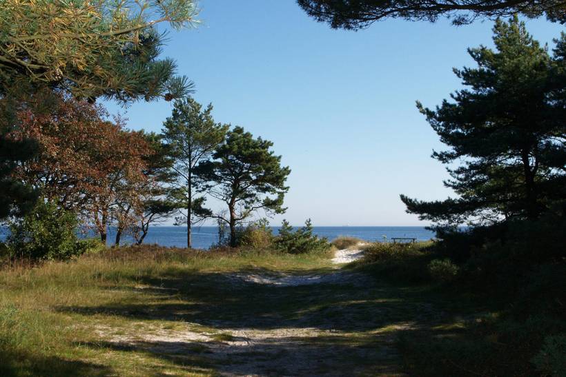 Foto von Ferienhaus NE33 in Snogebæk - Bornholm