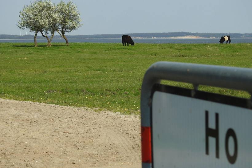 Foto von Ferienhaus NF11 in Ho - Blåvand - Westjütland