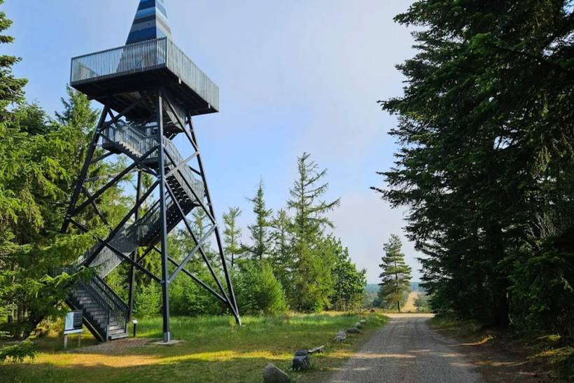 Foto von Ferienhaus NF26 in Hovborg - Westjütland
