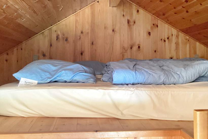 Foto von Ferienhaus NF26 in Hovborg - Westjütland