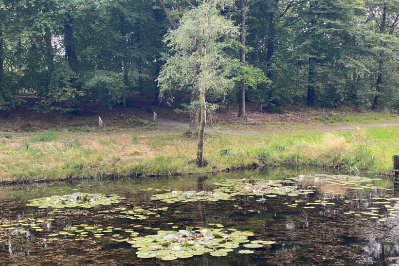 Foto von Ferienhaus NF26 in Hovborg - Westjütland