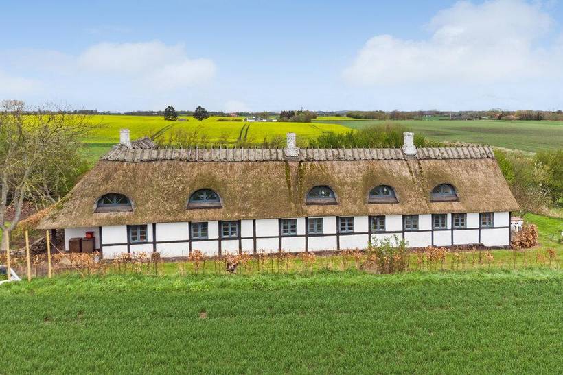 Foto von Ferienhaus NF72 auf Næs - Südseeland