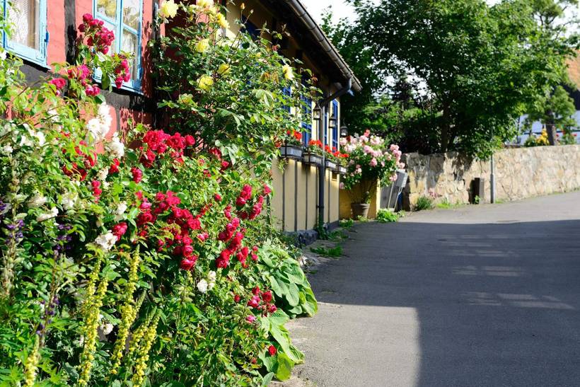 Foto von Ferienhaus NG05 auf Allinge - Bornholm