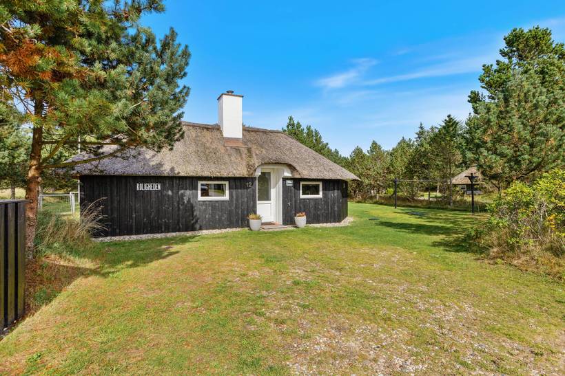 Foto von Ferienhaus NG68 in Vejers Strand - Westjütland