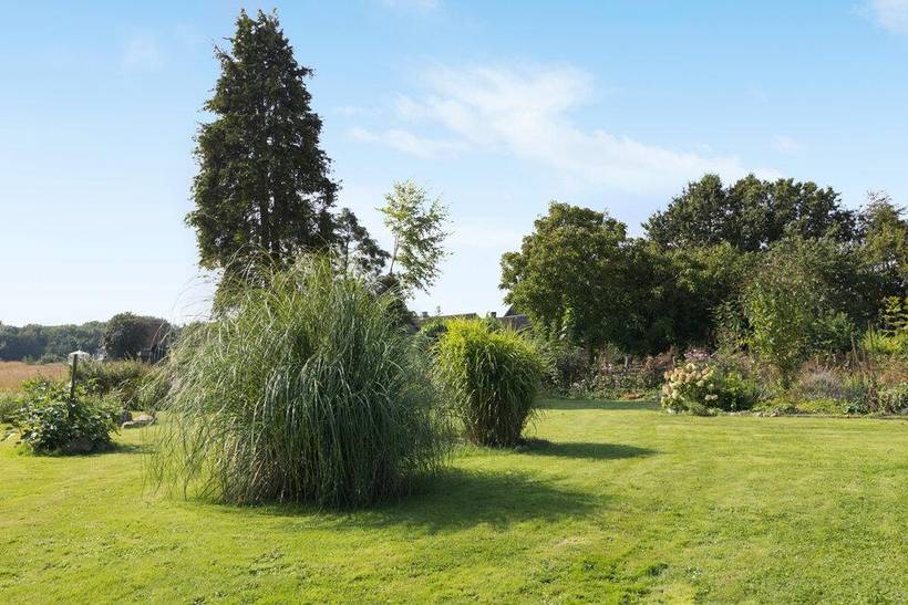 Foto von Ferienhaus NG95 in Mommark - Als