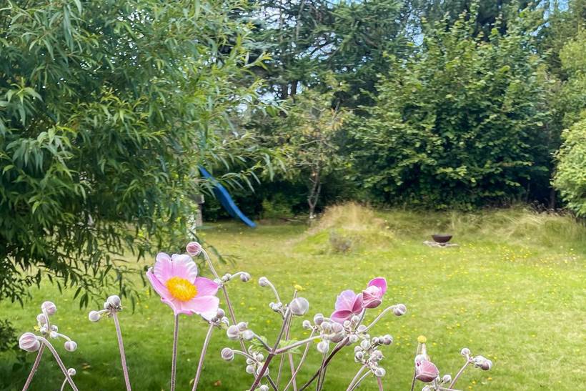 Foto von Ferienhaus NH26 in Udsholt - Rågeleje - Nordseeland