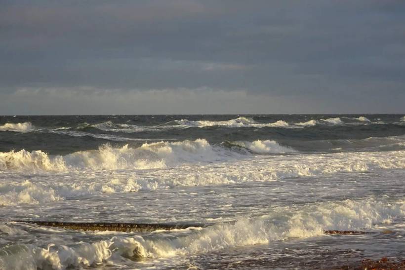 Foto von Ferienhaus NH26 in Udsholt - Rågeleje - Nordseeland