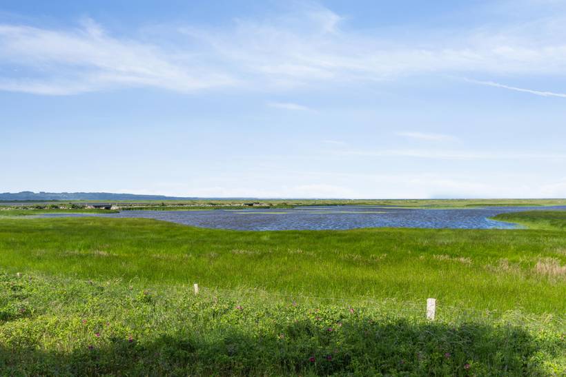 Foto von Ferienhaus NH52 in Sejerø Bugt - Westseeland
